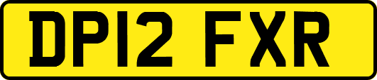 DP12FXR