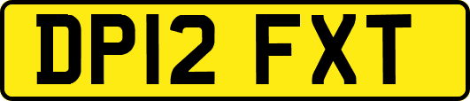 DP12FXT
