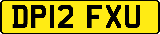 DP12FXU