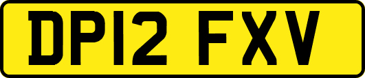 DP12FXV