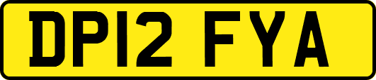 DP12FYA