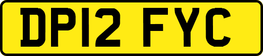 DP12FYC