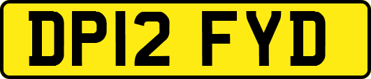 DP12FYD