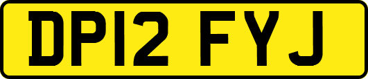 DP12FYJ