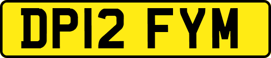 DP12FYM