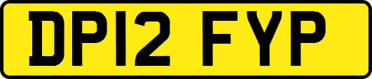 DP12FYP