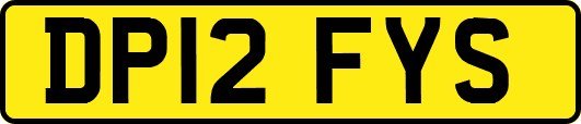 DP12FYS