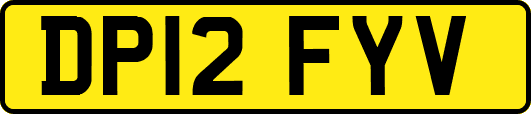 DP12FYV