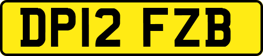 DP12FZB