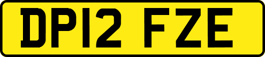 DP12FZE