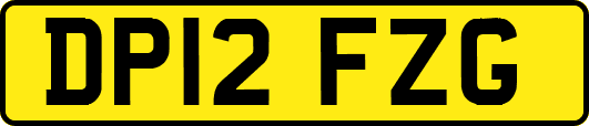 DP12FZG