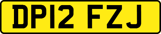 DP12FZJ