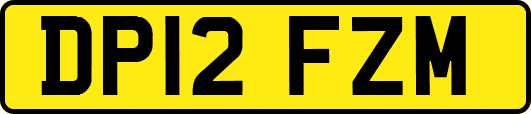 DP12FZM