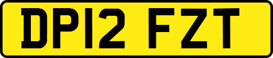 DP12FZT