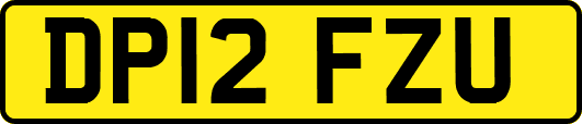 DP12FZU