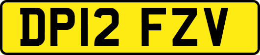 DP12FZV