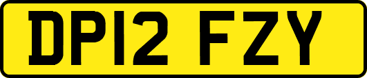DP12FZY