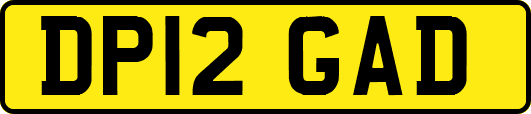 DP12GAD