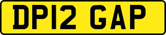 DP12GAP