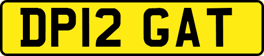 DP12GAT