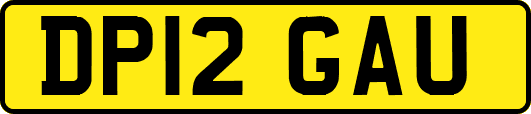 DP12GAU