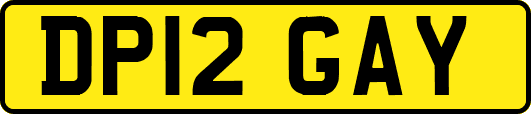 DP12GAY