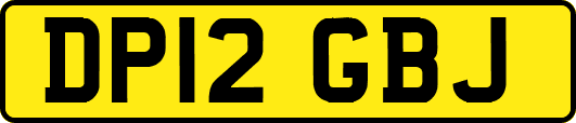 DP12GBJ