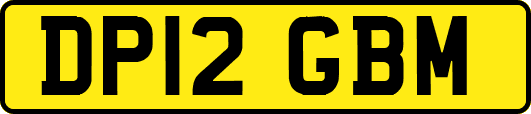 DP12GBM