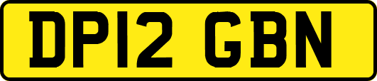 DP12GBN