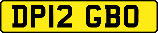 DP12GBO
