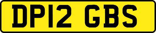 DP12GBS
