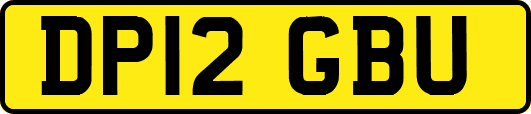 DP12GBU