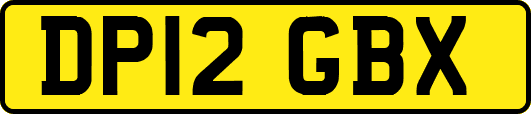 DP12GBX