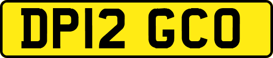 DP12GCO