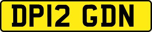 DP12GDN