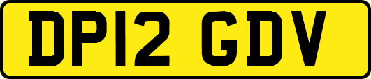 DP12GDV