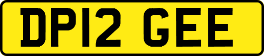 DP12GEE