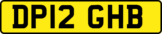 DP12GHB
