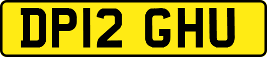 DP12GHU