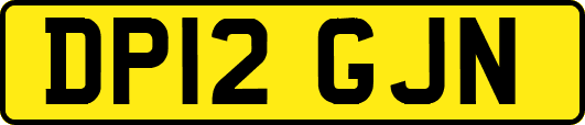 DP12GJN