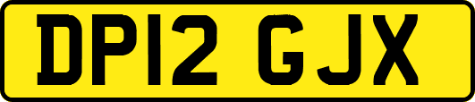 DP12GJX