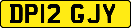 DP12GJY