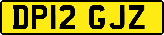 DP12GJZ