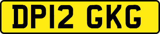 DP12GKG
