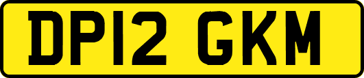 DP12GKM