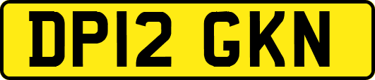 DP12GKN