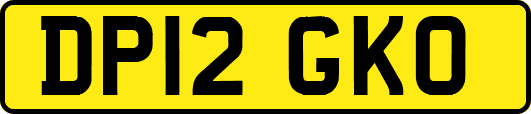 DP12GKO