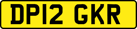 DP12GKR