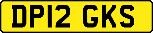 DP12GKS