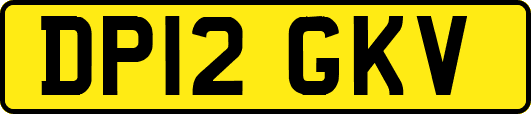 DP12GKV